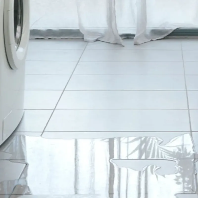 Appliance Leak Cleanup in Cameron, TX
