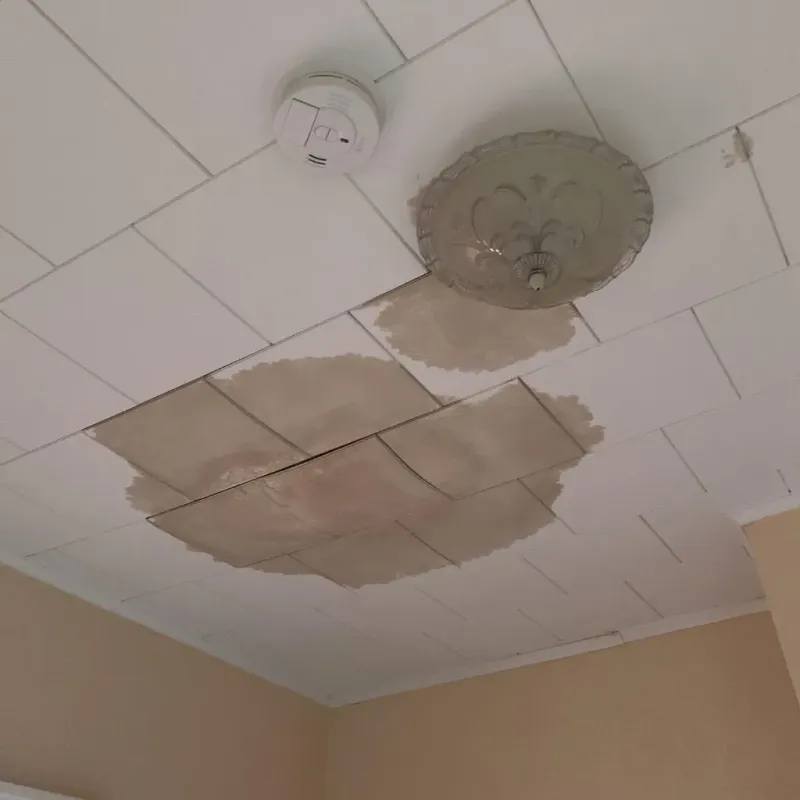 Ceiling Water Damage Repair in Cameron, TX