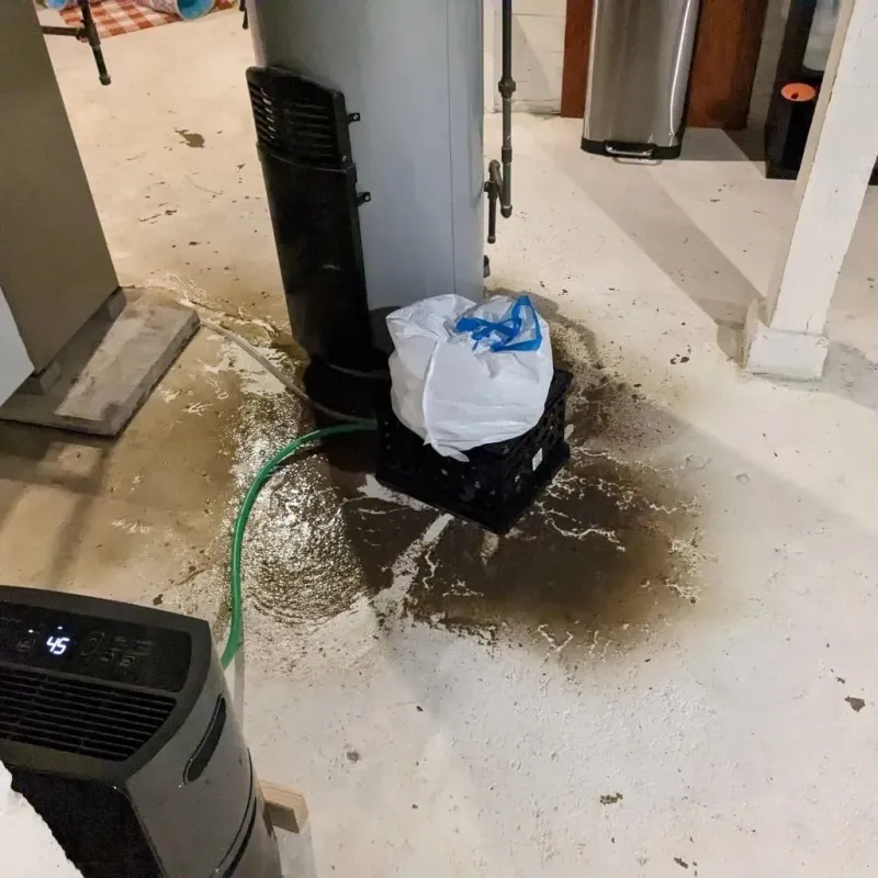 Sewage Backup Cleanup Service in Cameron, TX